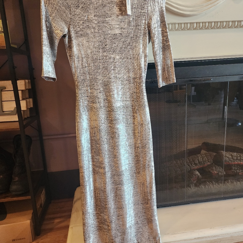 NWT alice + olivia silver